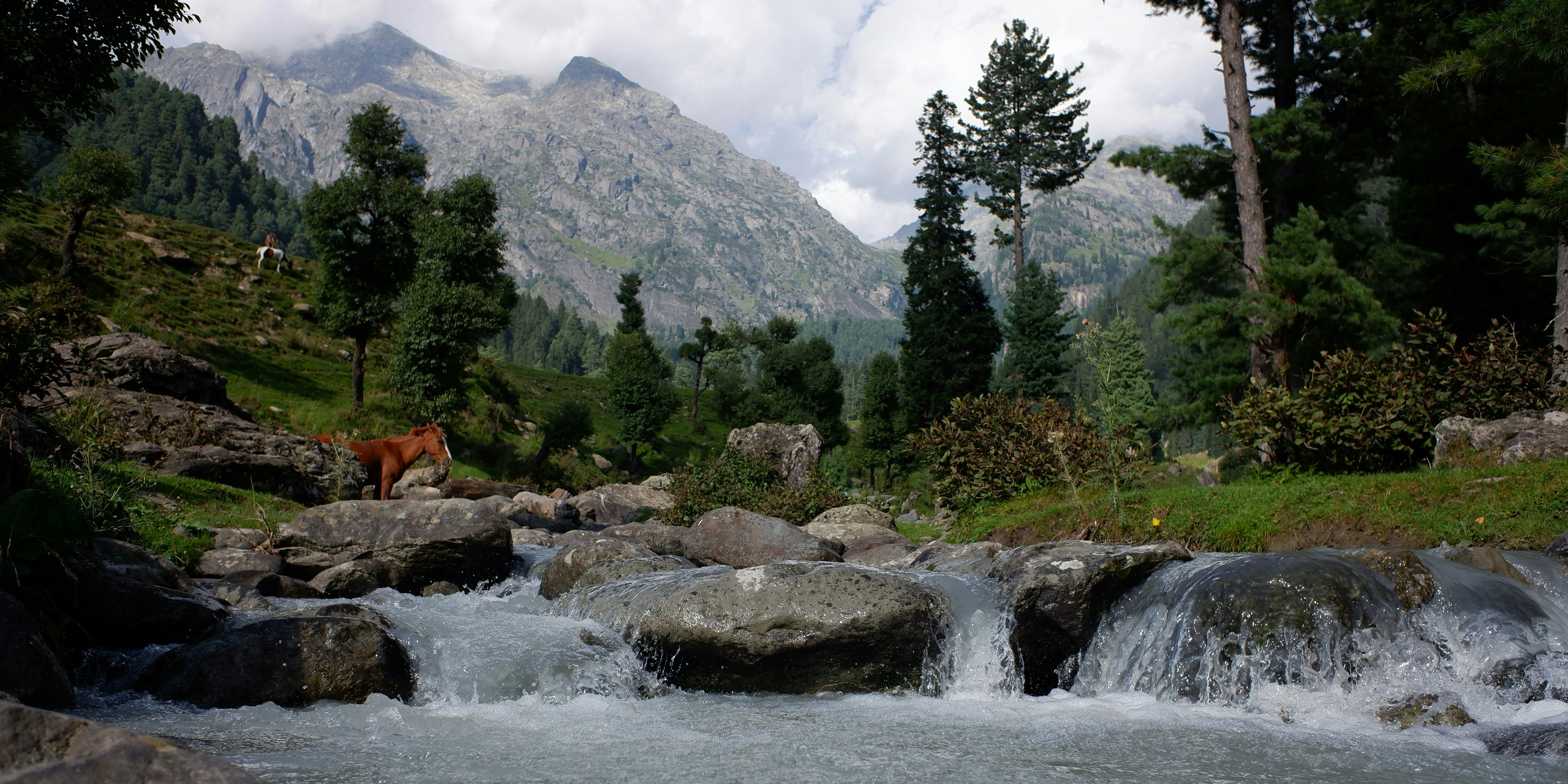 6 Night 7 Days Kashmir Magnificent Tour