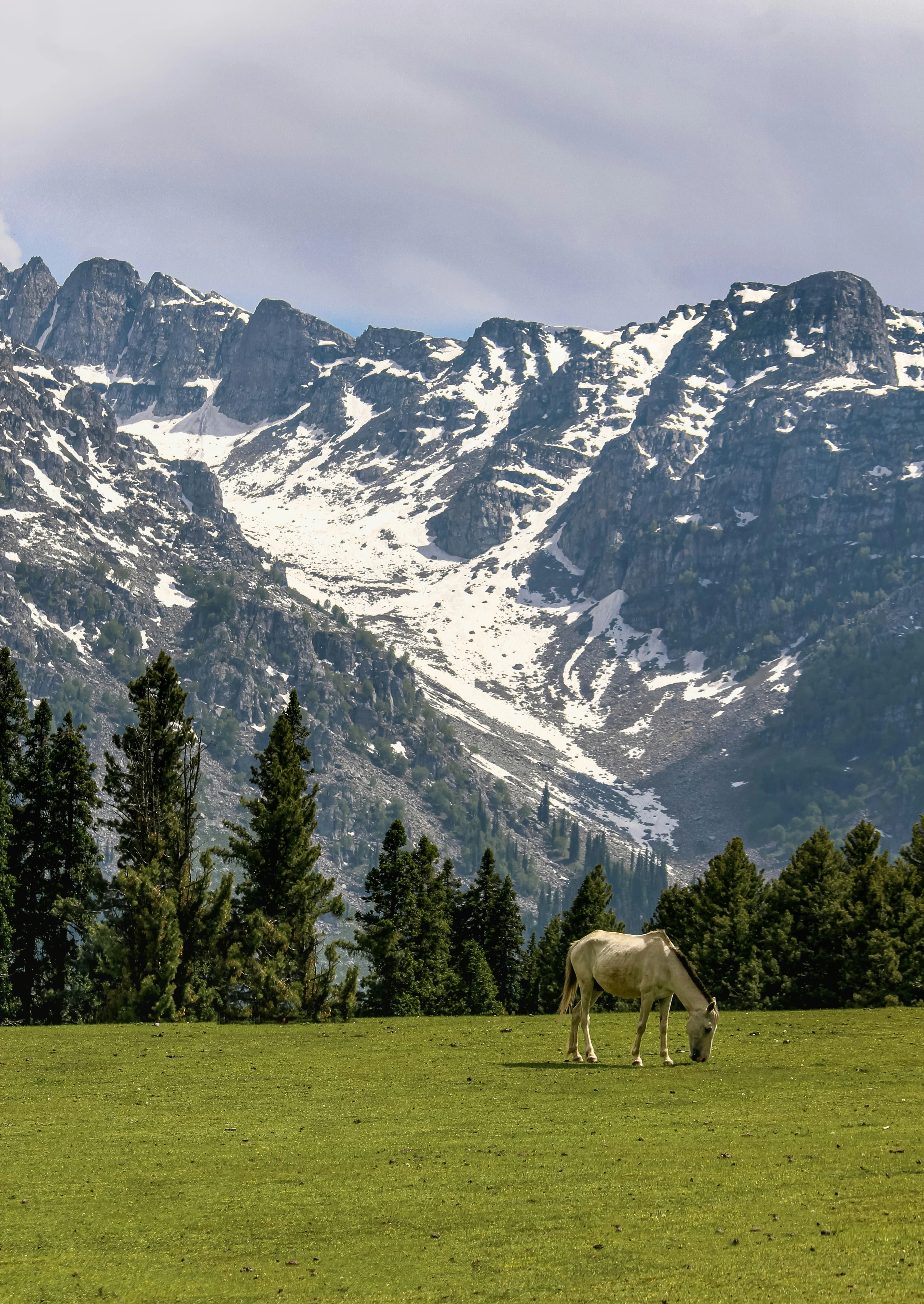 5 Nights 6 Days Kashmir offbeat tour